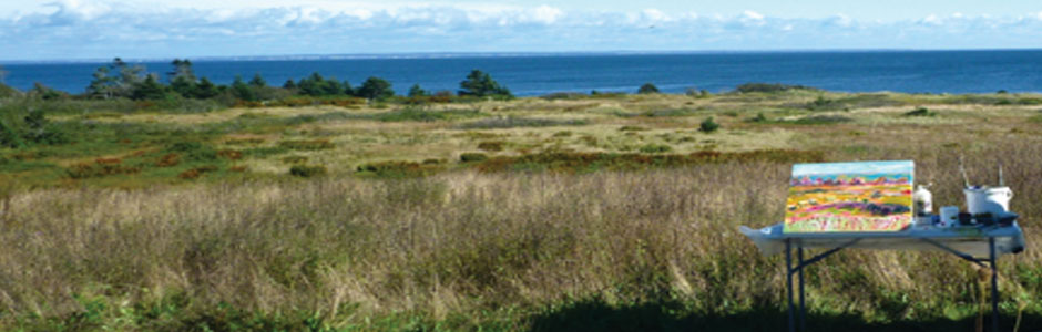 header-brierisl-setup