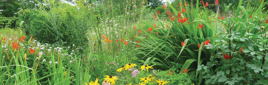 header-garden